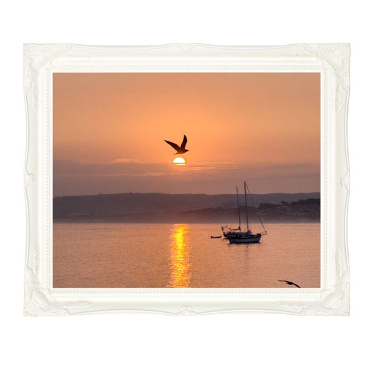 Monterey Morning Sun